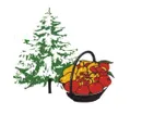 LEDERMANN